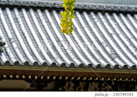 臨済宗最初の専門道場八幡市の達磨堂円福寺 臨済宗最初の専門道場八幡市の達磨堂円福寺 130794393