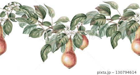 Seamless border with curved branches of blossoming pear and juicy fruits. Isolated watercolor illustration for packaging design of products from this fruit, kitchen textiles and interior design. Seamless border with curved branches of blossoming pear and juicy fruits. Isolated watercolor illustration for packaging design of products from this fruit, kitchen textiles and interior design. 130794614