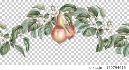 Seamless border with curved branches of flowering pear and fruits. Isolated watercolor illustration for packaging design of products from this fruit, kitchen textiles and interior design. Seamless border with curved branches of flowering pear and fruits. Isolated watercolor illustration for packaging design of products from this fruit, kitchen textiles and interior design. 130794616