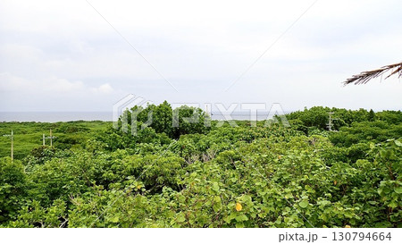 沖縄県八重山諸島鳩間島にある物見台から見える風景 沖縄県八重山諸島鳩間島にある物見台から見える風景 130794664