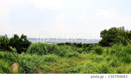 沖縄県八重山諸島鳩間島にある物見台から見える風景 130794665
