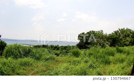 沖縄県八重山諸島鳩間島にある物見台から見える風景 130794667