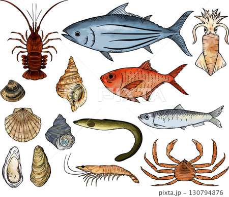 水彩で描いた魚介類セット 130794876