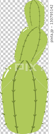 Green cactus plant illustration on transparent background 130795142