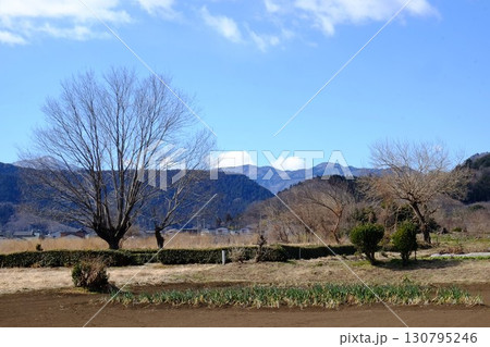 丹沢の山を背景に作付けを待つ畑　【相模原市津久井　2月】 130795246