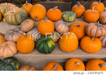 たくさんのかぼちゃを上から構図 130795875