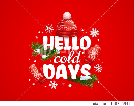 Hello cold days, Christmas holiday quote and greeting card with snowflakes, cartoon vector. Christmas quote and New Year winter holiday greeting card, Xmas tree in snow and knitted hat with mittens 130795941