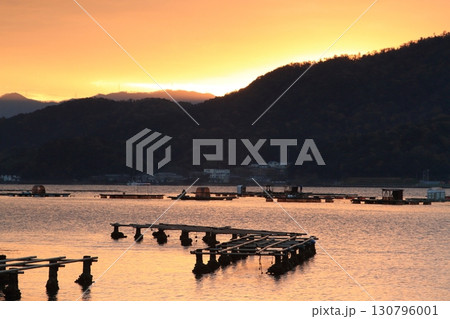 夕日に輝く水面と養殖筏 130796001