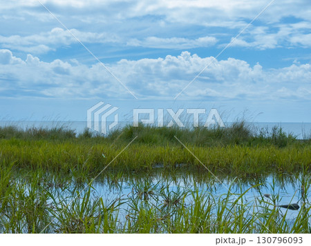 茶色の枯葉・落ち葉のテクスチャ、土に還る言葉たち 130796093
