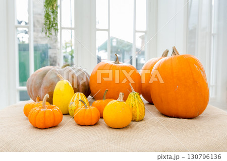 ハロウィンのかぼちゃ 130796136