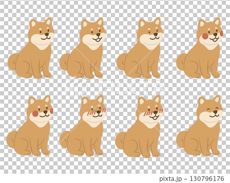 坐著的柴犬插圖集 130796176