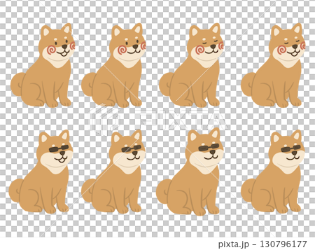 坐著的柴犬插圖集 130796177