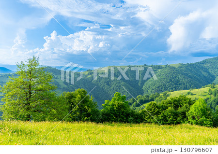 Carpathians mountains landscapes from green meadow on sunset, Apetska mountain, Ukraine Carpathians mountains landscapes from green meadow on sunset, Apetska mountain, Ukraine 130796607