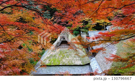 茅葺き屋根と奥嵯峨の秋イメージ 茅葺き屋根と奥嵯峨の秋イメージ 130796667