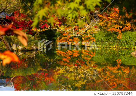 秋の紅葉を反射する水面の写真 130797244