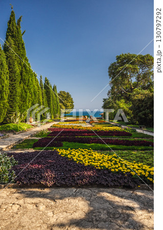 Flowerbeds with bright yellow and purple blossoms in the Balchik botanical garden, framed by cypress trees and overlooking the Black Sea on a sunny day. 130797292
