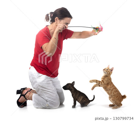ginger cat and woman in studio 130799734