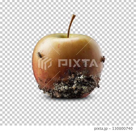 Decaying apple with insects on a black reflective surface. Symbolic of decay, mortality, or natures cycle. Dark, conceptual imagery for edgy designs or health topics. 130800740