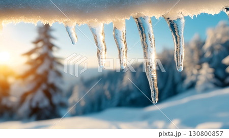 A breathtaking winter landscape with towering pine trees blanketed in snow and delicate icicles hanging from their branches set against a serene golden hued sky at sunset 130800857