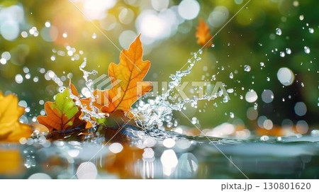 Autumn leaves splashing in a puddle of water with sunlight. 130801620