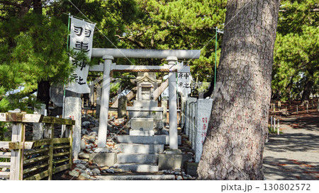 松林のある風景(三保の松原) 松林のある風景(三保の松原) 130802572