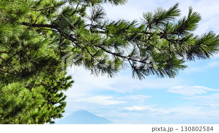 松林のある風景（三保の松原） 130802584