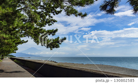 松林のある風景（三保の松原） 130802585