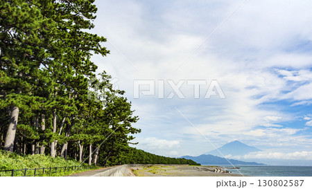 松林のある風景（三保の松原） 130802587