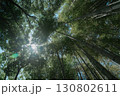 天空へ伸びる竹の森 130802611
