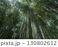 見上げる竹林の神秘 130802612