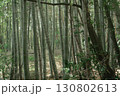 光と竹が織りなす空間 130802613
