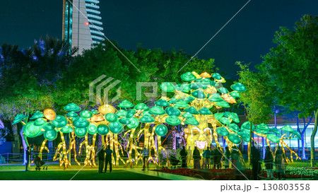 Dubai Glow Garden timelapse with illuminated trees and sculptures Dubai Glow Garden timelapse with illuminated trees and sculptures 130803558