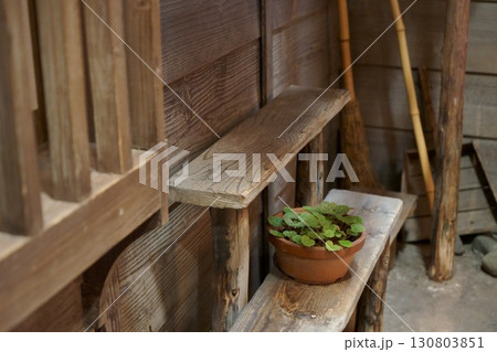 長屋の路地裏にある鉢植え 長屋の路地裏にある鉢植え 130803851