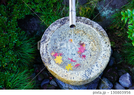 和の庭園に流れる清らかな水のししおどしと、石の水鉢に映える赤と黄のモミジ 130803956