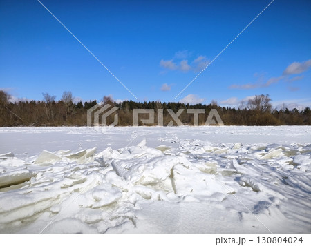 A clear winter day, a blue sky. Trees and canes on frozen lake coast. Winter landscape, ice on river 130804024