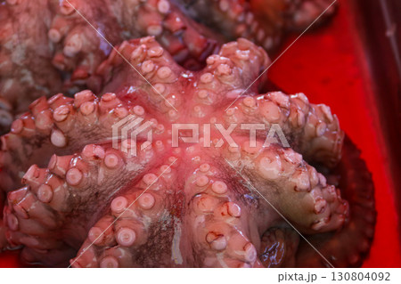 Fresh raw octopuses for sale in the fish market 130804092