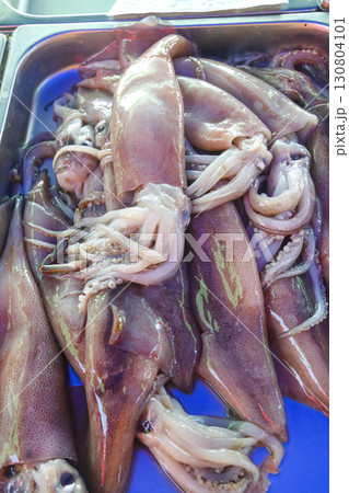 Fresh raw squid for sale in fish market 130804101
