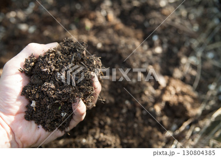 堆肥を手に持つ 堆肥を手に持つ 130804385