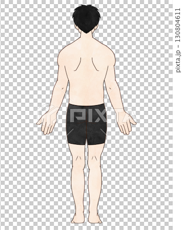 Anatomical straight male, back, watercolor style, with clothes 130804611