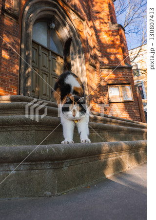 A calico cat stretches on stone steps near an arched doorway of a historic brick building in Riga, Latvia, with dappled sunlight and intricate brickwork. 130807413