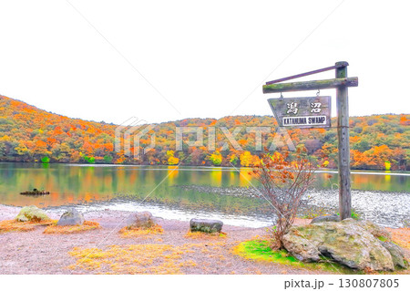 鮮やかな	紅葉の潟沼（かたぬま） 130807805