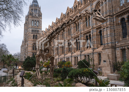 The Natural History Museum in London features Romanesque architecture, a dinosaur skeleton replica in a garden, and iconic towers with arched windows. The Natural History Museum in London features Romanesque architecture, a dinosaur skeleton replica in a garden, and iconic towers with arched windows. 130807855