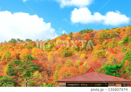 爽やかな秋空と鮮やかな紅葉 爽やかな秋空と鮮やかな紅葉 130807874