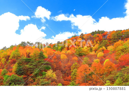 爽やかな秋空と鮮やかな紅葉 130807881