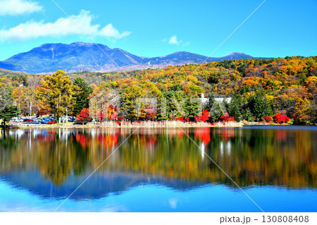 蓼科湖より北八ヶ岳方面を望む(長野県茅野市)【2024.11】 130808408