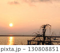 太陽と木と海 130808851