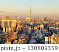 文京シビックセンターの展望台からみた東京スカイツリー 130809359
