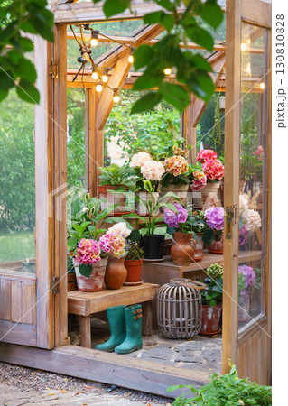 Wooden greenhouse full of blooming flowers and lush plants in bright and vibrant summer garden Wooden greenhouse full of blooming flowers and lush plants in bright and vibrant summer garden 130810828