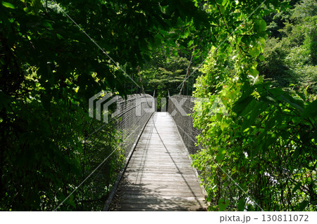 板室温泉の那珂川の吊り橋_02 130811072