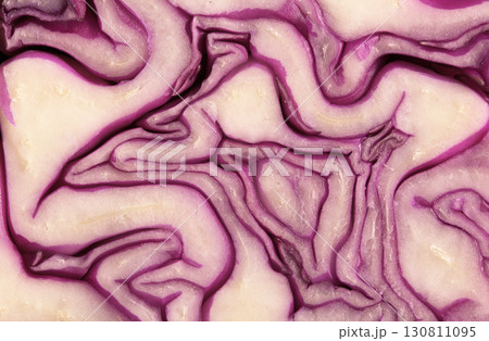 Close-up view of a sliced red cabbage revealing intricate patterns and textures in layers 130811095